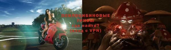 кристаллы Новокубанск