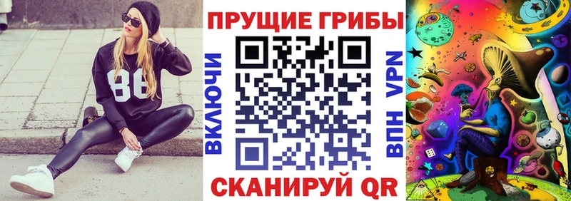 Псилоцибиновые грибы Psilocybe  Иноземцево 